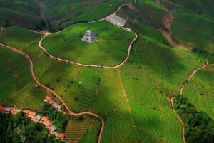 Plantáže u města Pu Erh