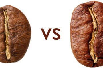 Robusta vs Arabica