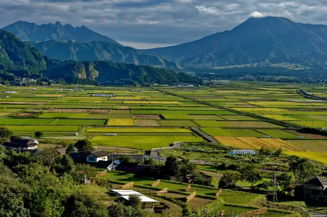 Oblast pěstování Kumamoto v Japonsku