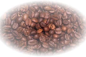 Co je pražení Torrefacto?