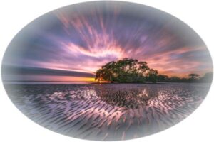 Jaký čaj na léto?