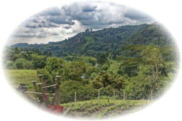 Chuť a vůně kávy z Kolumbie