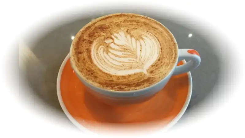 Chai Latté z prášku | Prémiové čaje | vypij.cz Chai latté z prášku