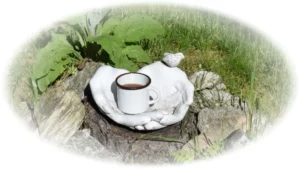 Historie černého čaje a jeho cesta na západ