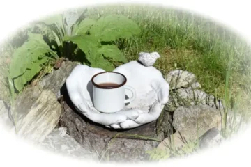 Historie černého čaje a jeho cesta na západ