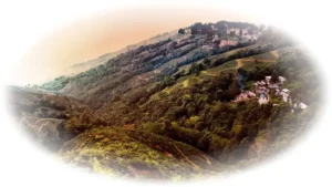 Darjeeling v naší nabídce