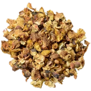 Assam Latumoni