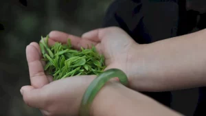 Raritní a exkluzivní čaje