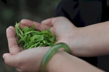 Raritní a exkluzivní čaje