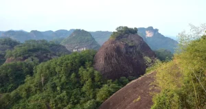 Útesový oolong z Wuyi