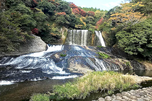 Oblast pěstování Kjúšú, Japonsko