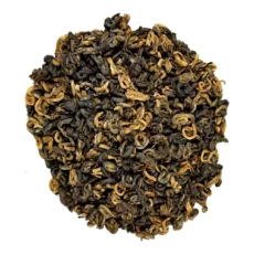 Černý zlatý šnek (Black Golden Snail) - 1. třída