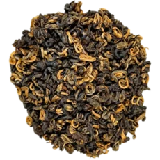 Černý zlatý šnek (Black Golden Snail) 1. třída