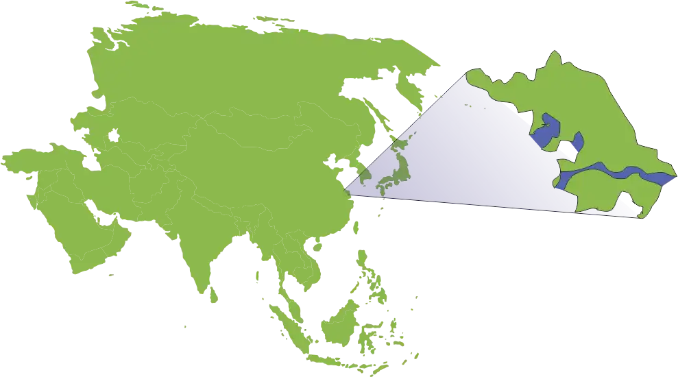 Šnečí ulity | Zelený čaj | Prémiové čaje | vypij.cz Mapa Jiangsu v Číně