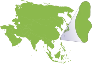 Královský dlouhověký Oolong | Taiwan | Prémiové čaje | vypij.cz Mapa Taiwanu